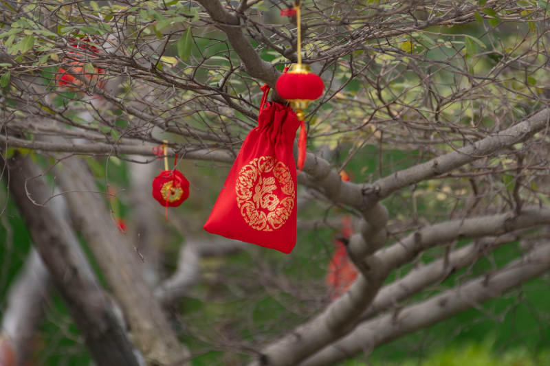 树上挂红袋 喜庆迎新春图片