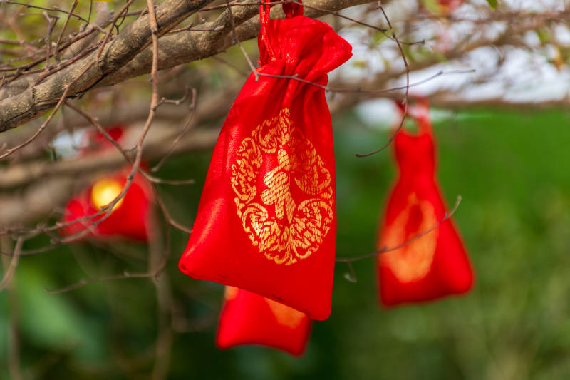 树上悬挂的红色福袋图片