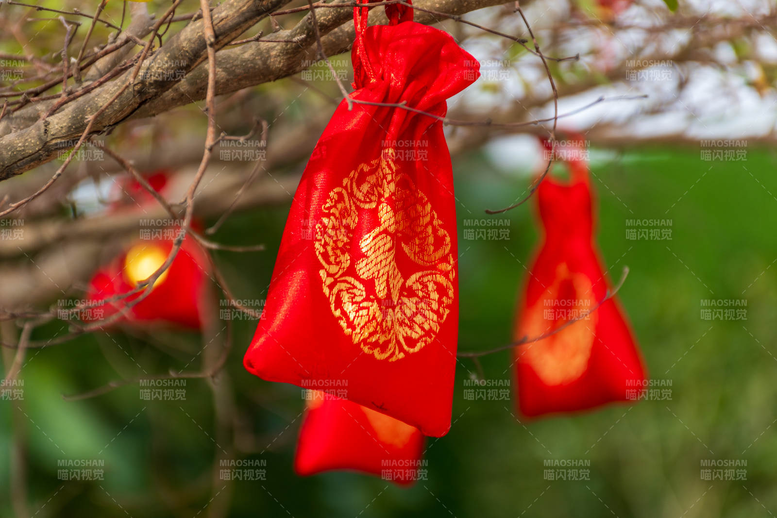 树上悬挂的红色福袋图片