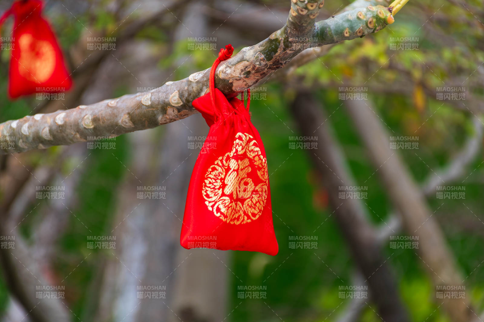 树上挂着红色香囊袋图片
