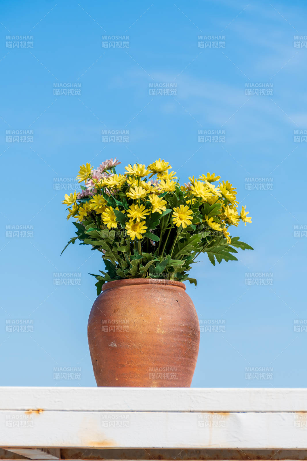 蓝天下的黄色花盆图片