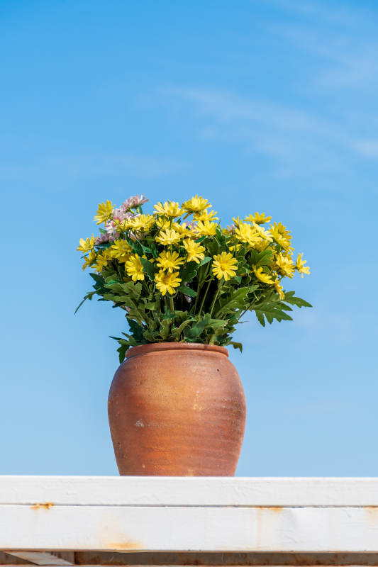 蓝天下的黄色花盆图片