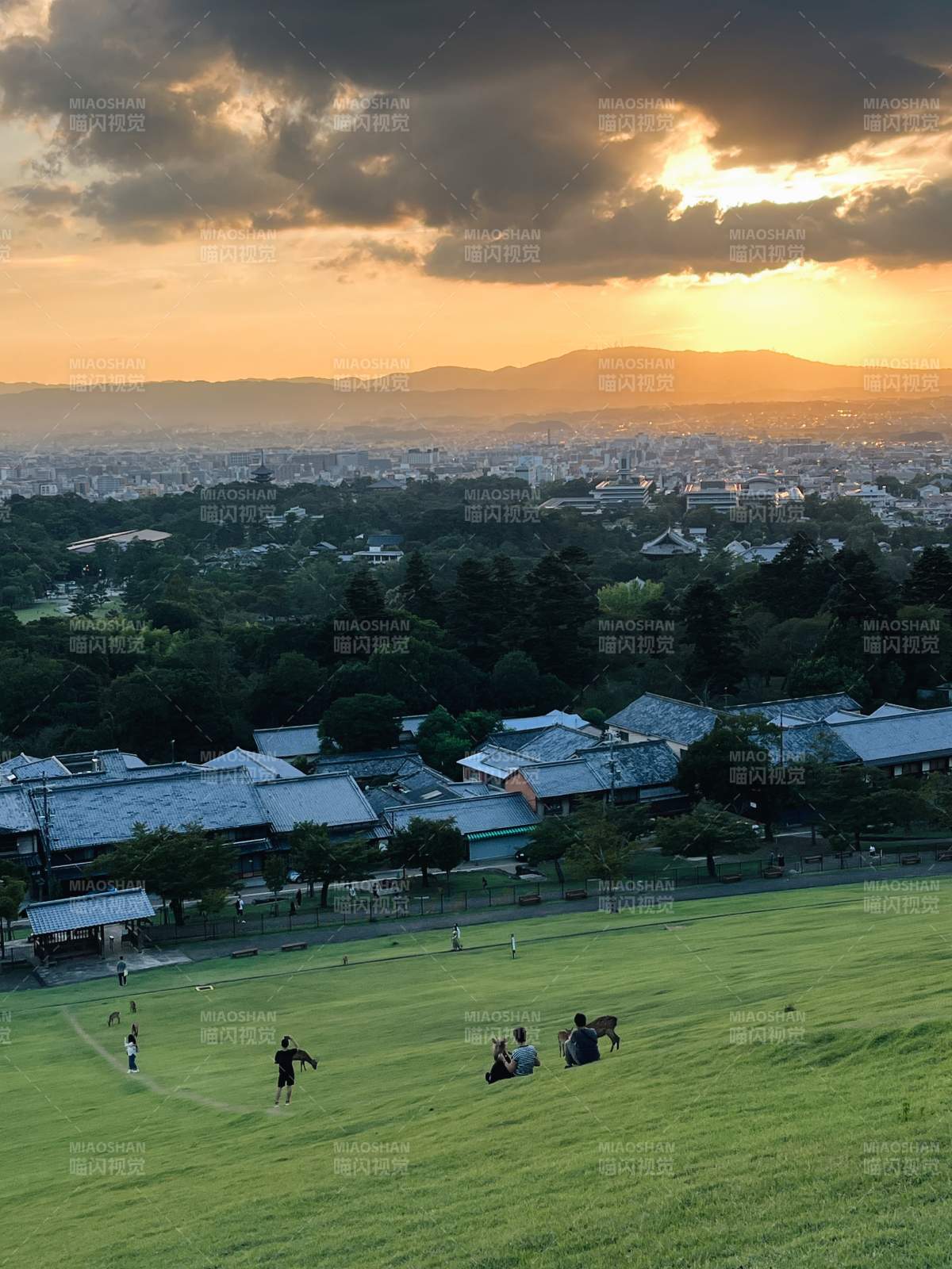 夕阳下的城市与绿地图片