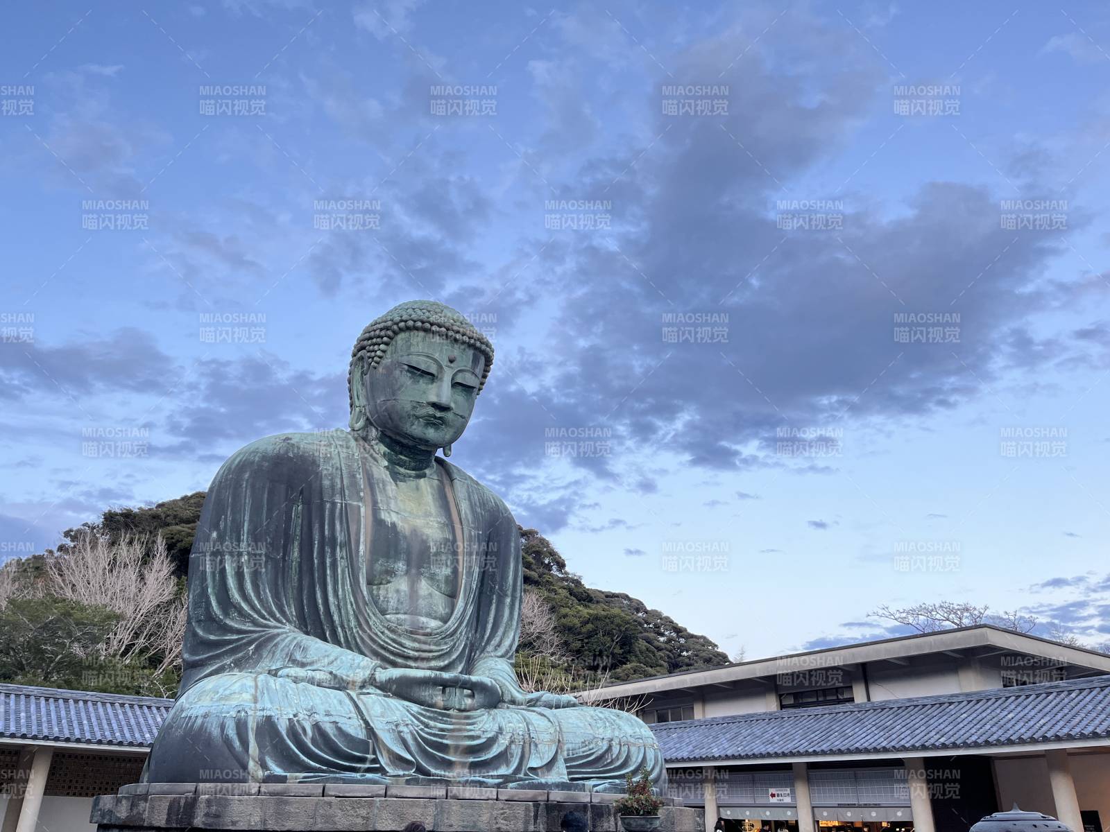 镰仓大佛图片