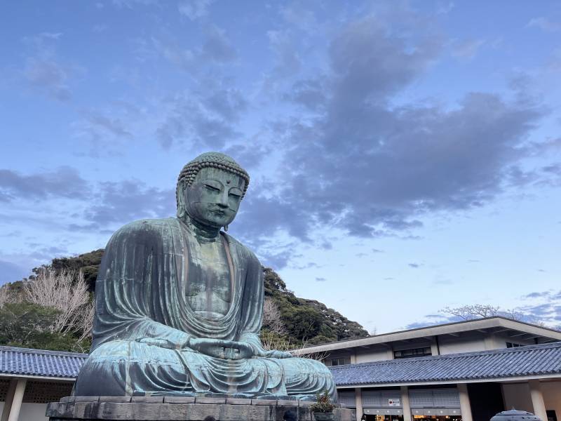 镰仓大佛图片