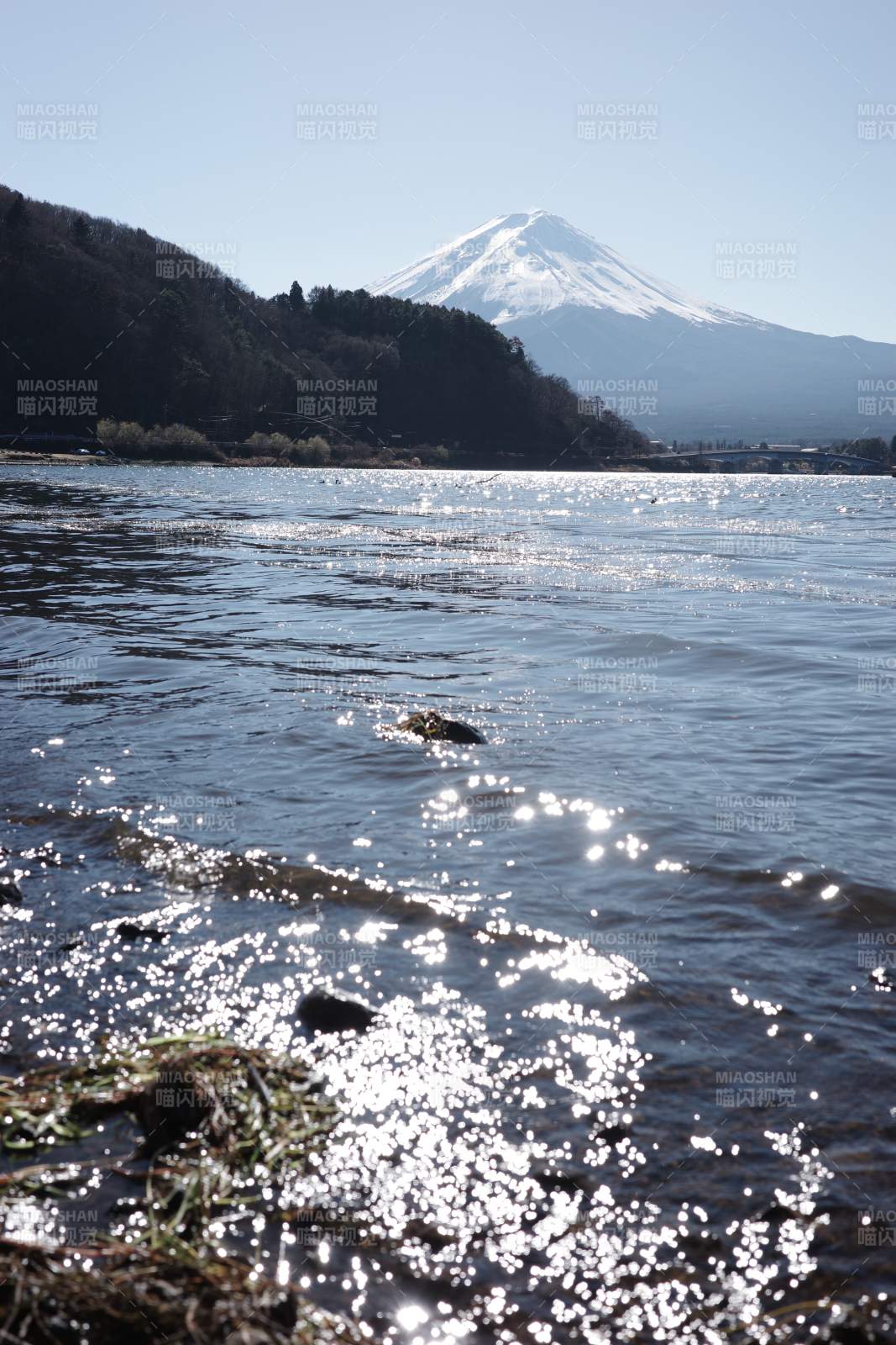 富士山下的湖光山色图片