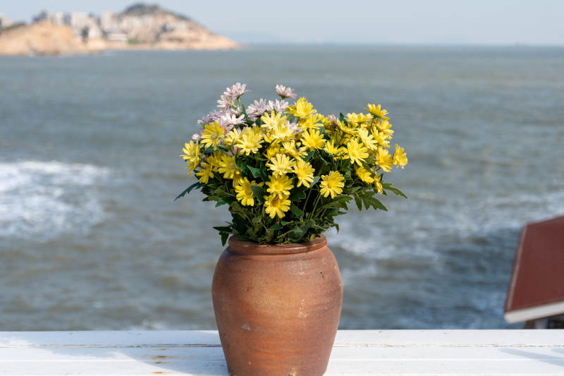 海边花瓶 静谧时光图片