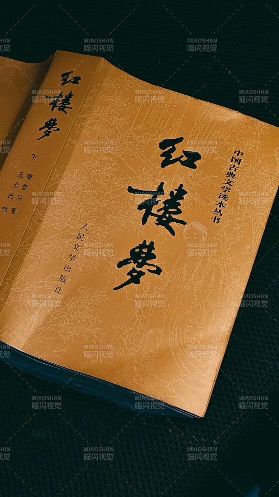 红楼梦 古典文学读本图片