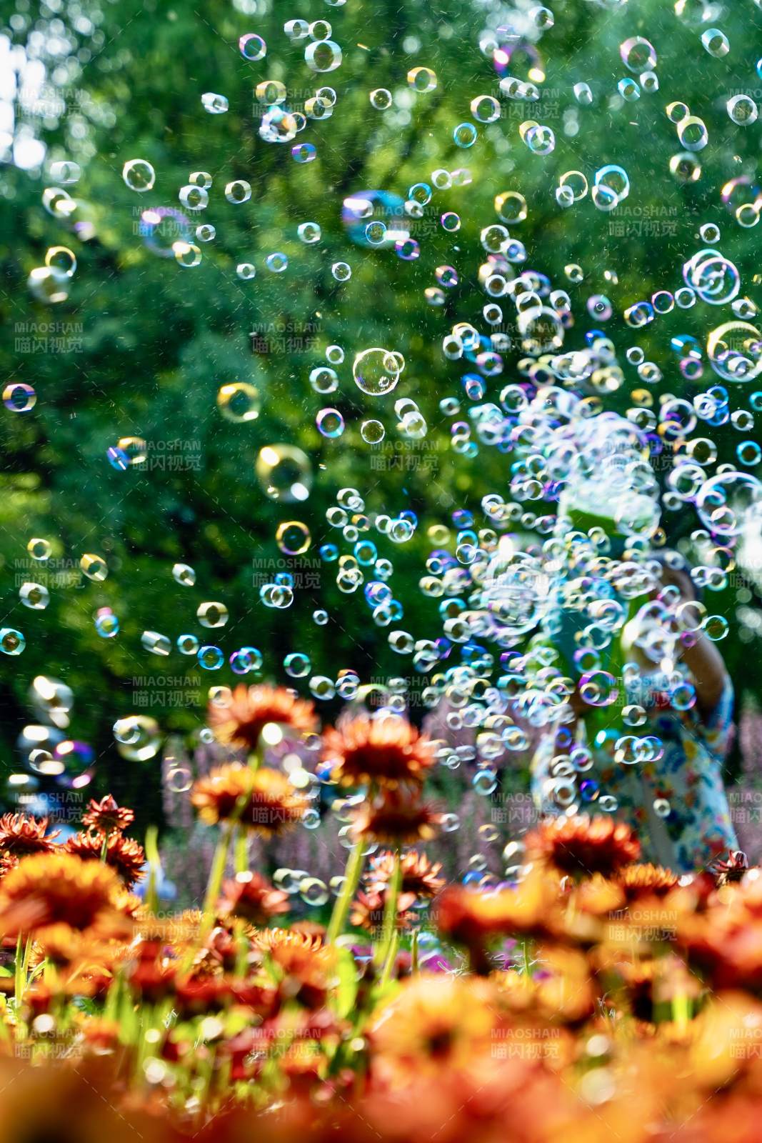 泡泡花园里的夏日时光图片