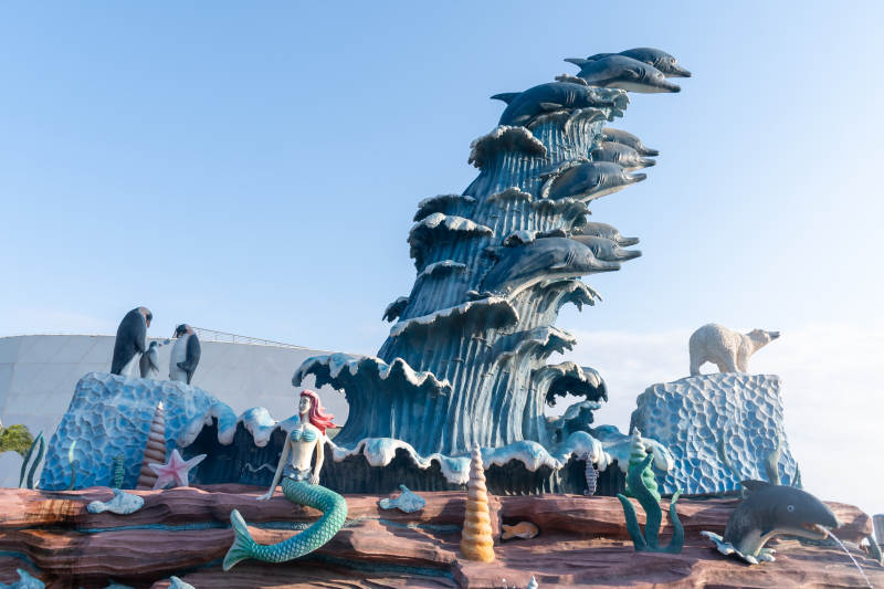 福州海洋奇景 海豚与美人鱼图片