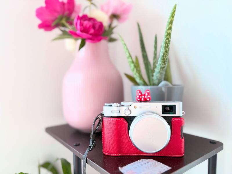 红色相机与粉色花瓶图片