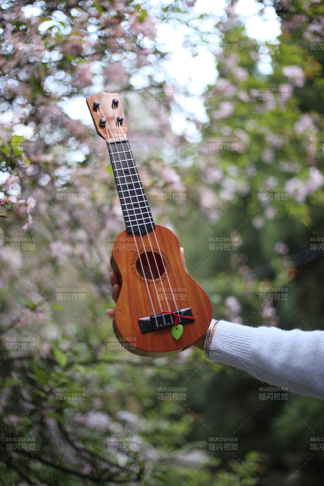 樱花树下的尤克里里图片