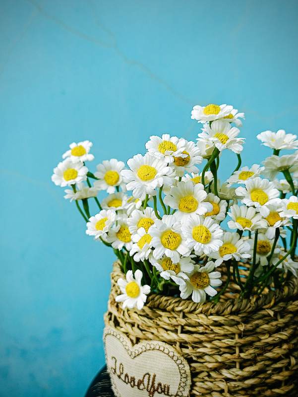 雏菊篮子 我爱你图片