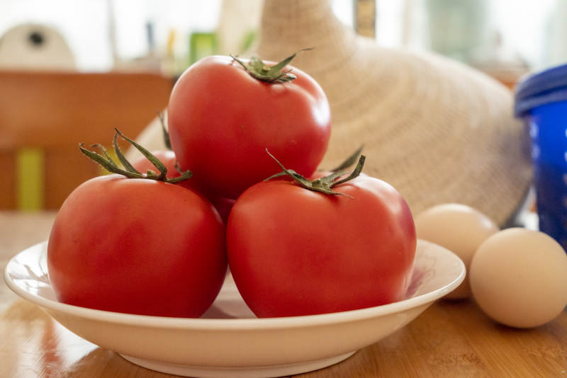 新鲜番茄与鸡蛋的静物图图片