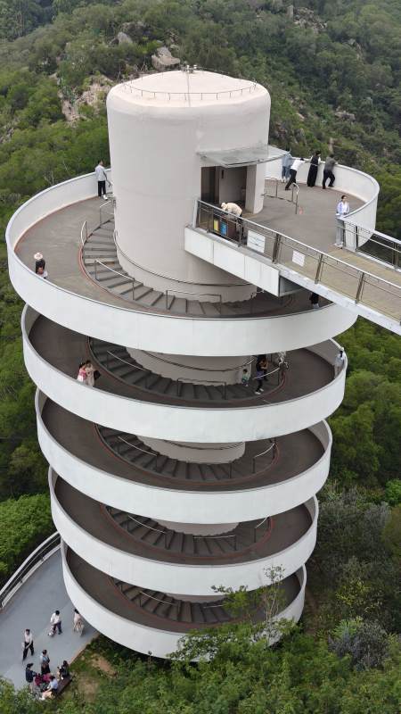 螺旋观景塔俯瞰森林图片