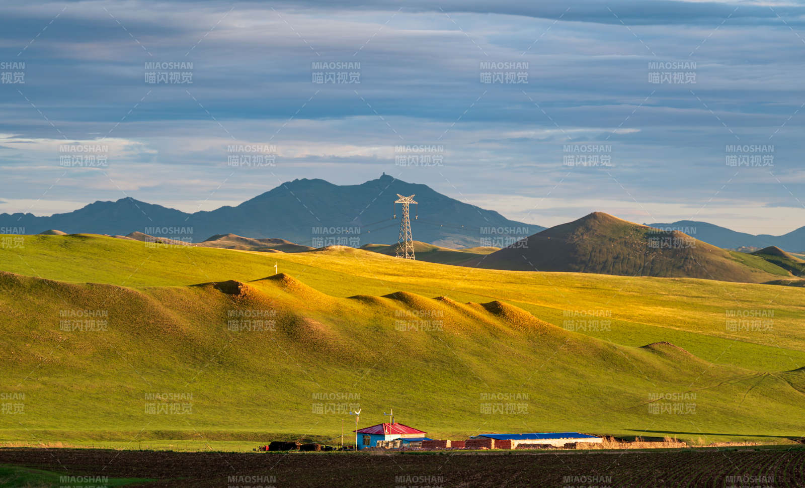 初夏的草原图片