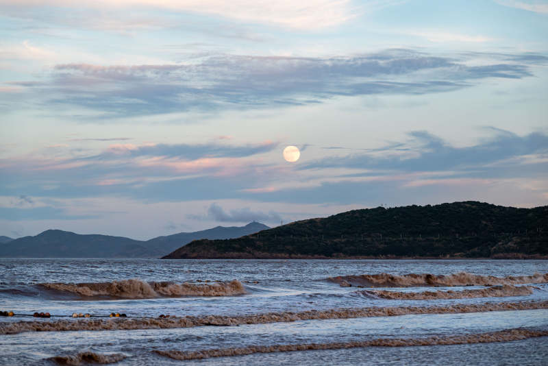 海边月色 宁静之美图片