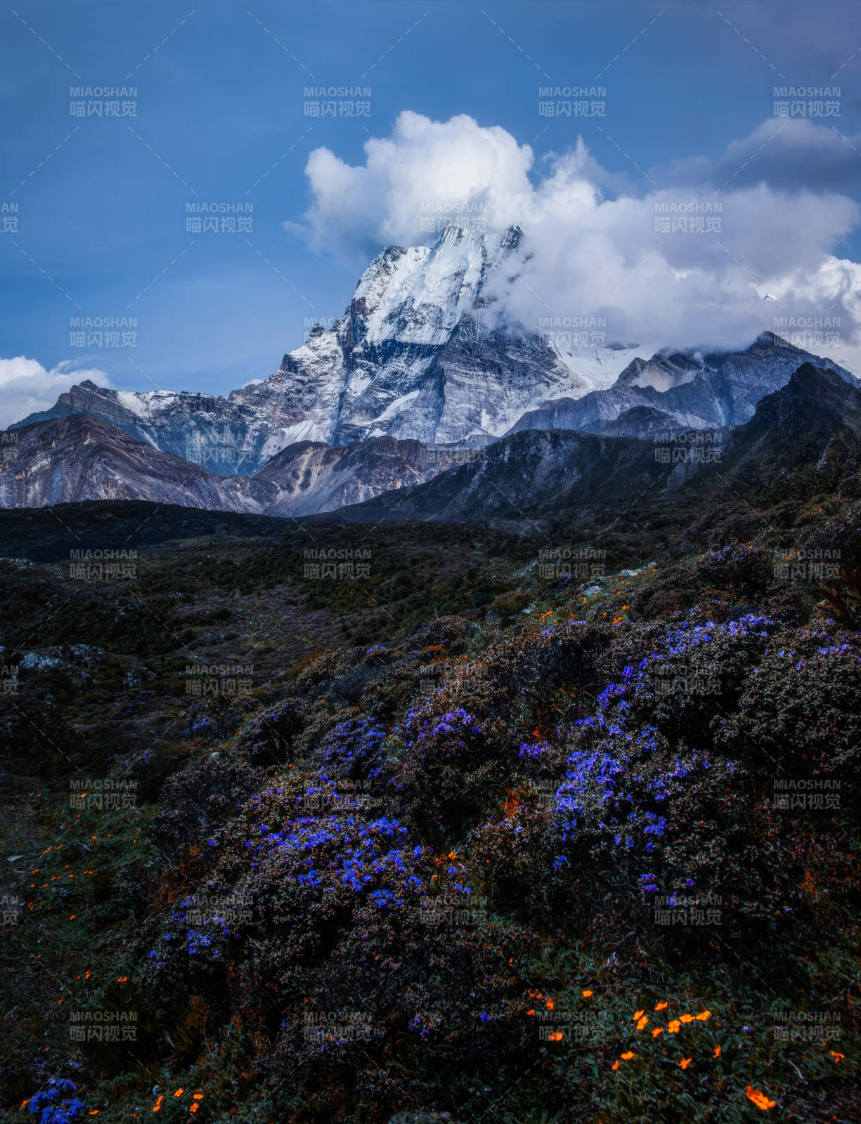  稻城亚丁雪山之巅 图片