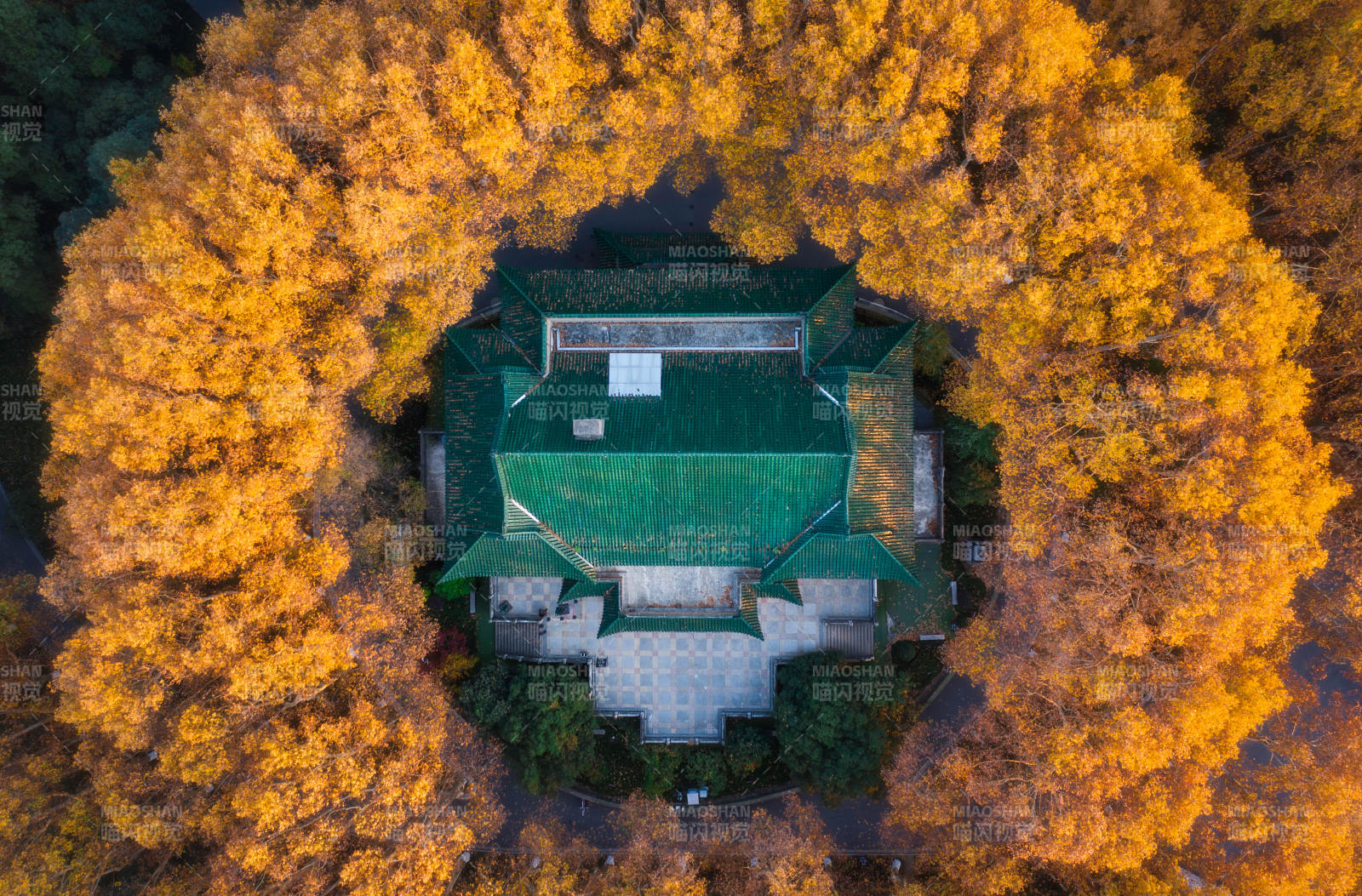 秋林环绕古建筑图片