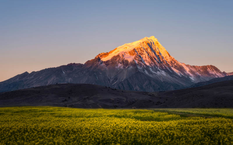 雪山映霞光 绿野展春色图片