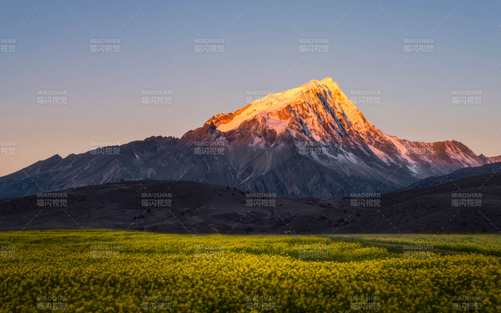 雪山映霞光 绿野展春色图片