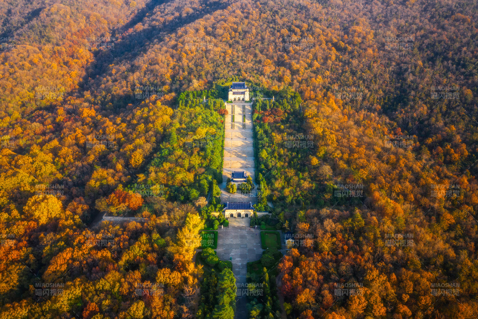 秋色山林中的古塔风光图片