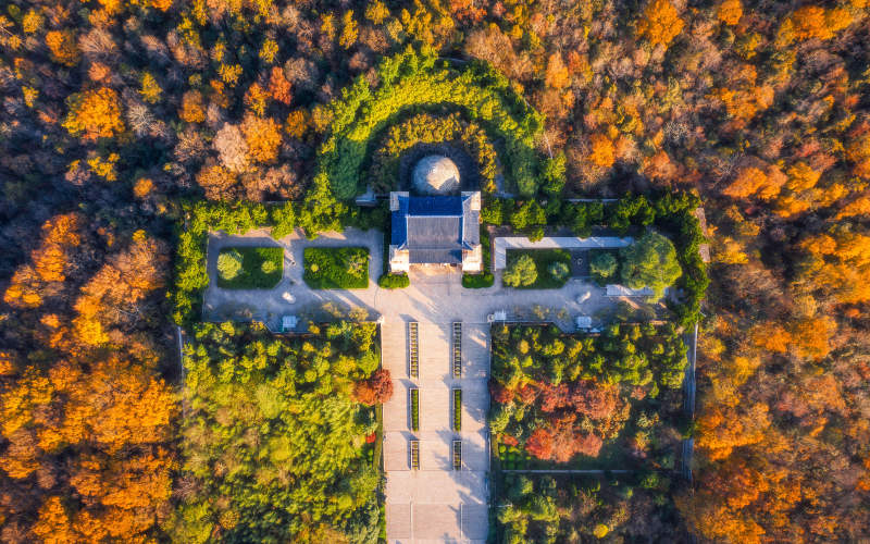 秋林中的古塔庭院图片