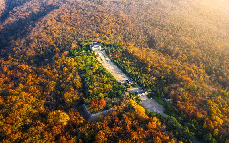 秋林中的古建筑群图片