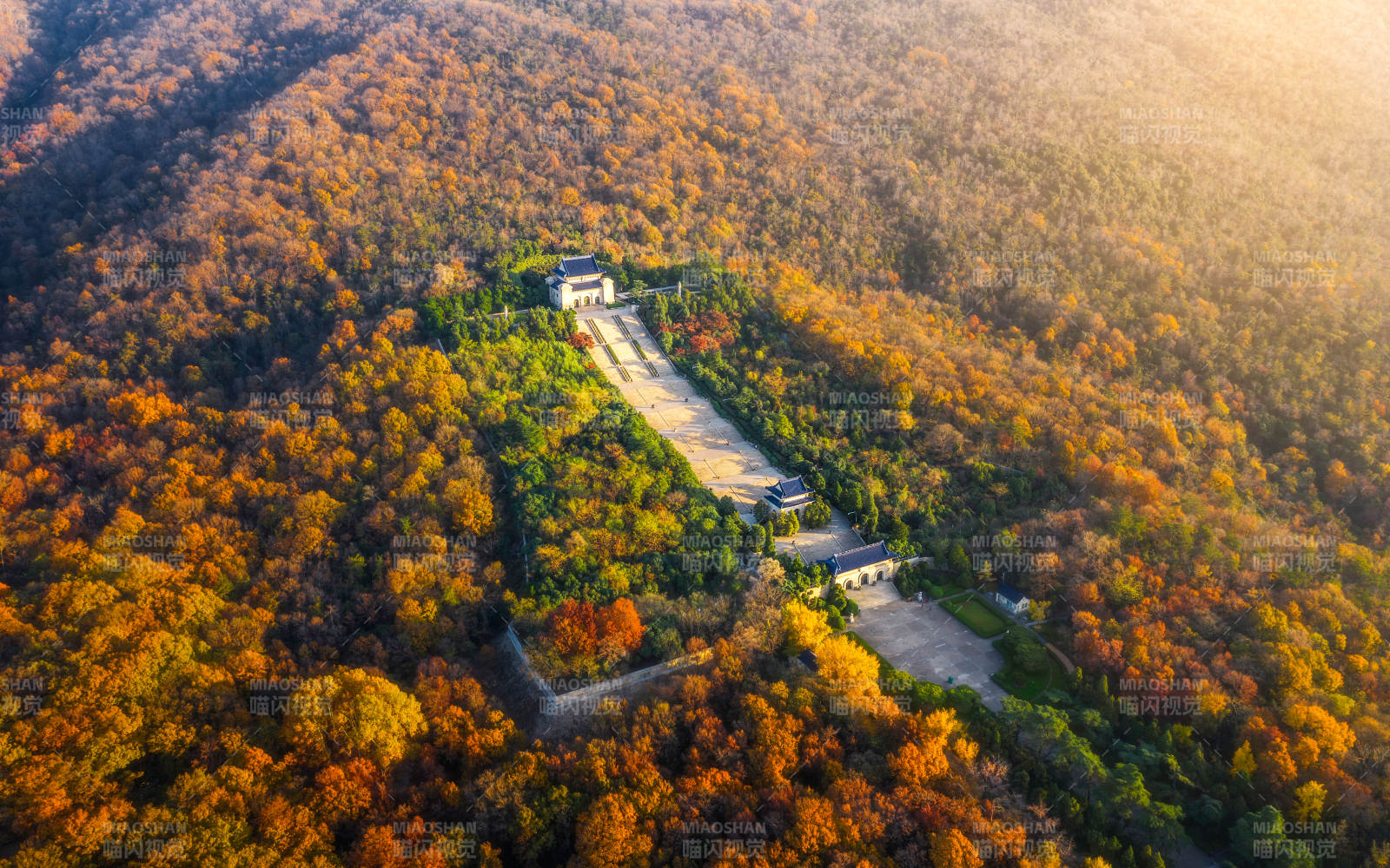 秋林中的古建筑群图片