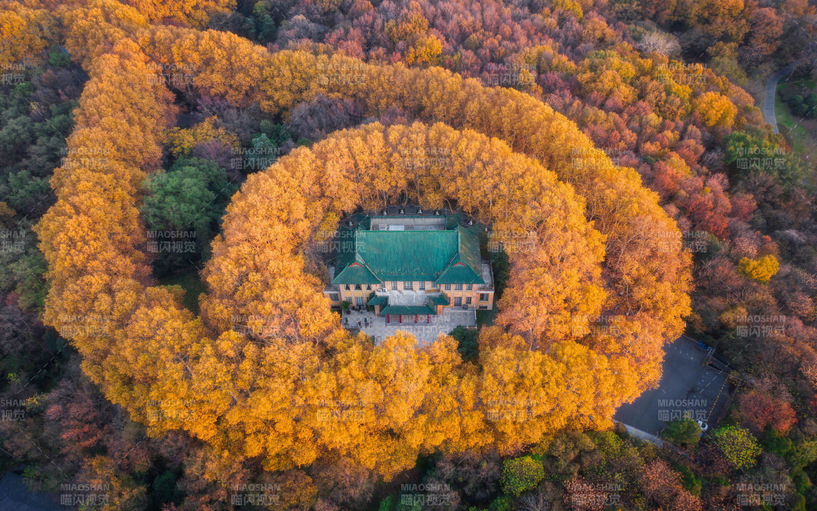 秋林环绕古建筑图片