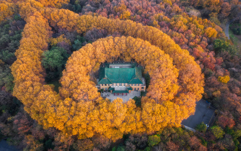 秋林环绕古建筑图片