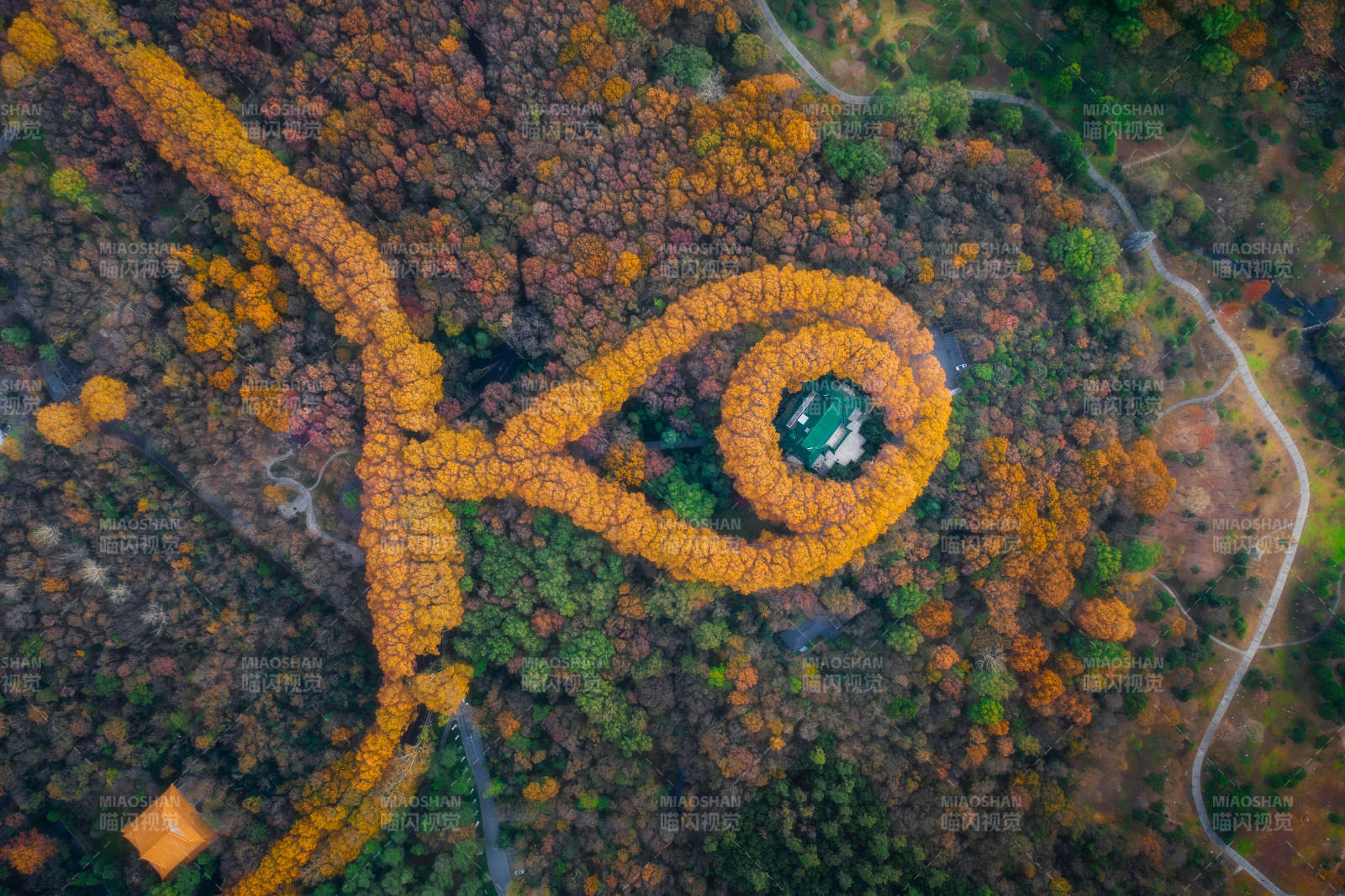秋林环绕的神秘建筑图片