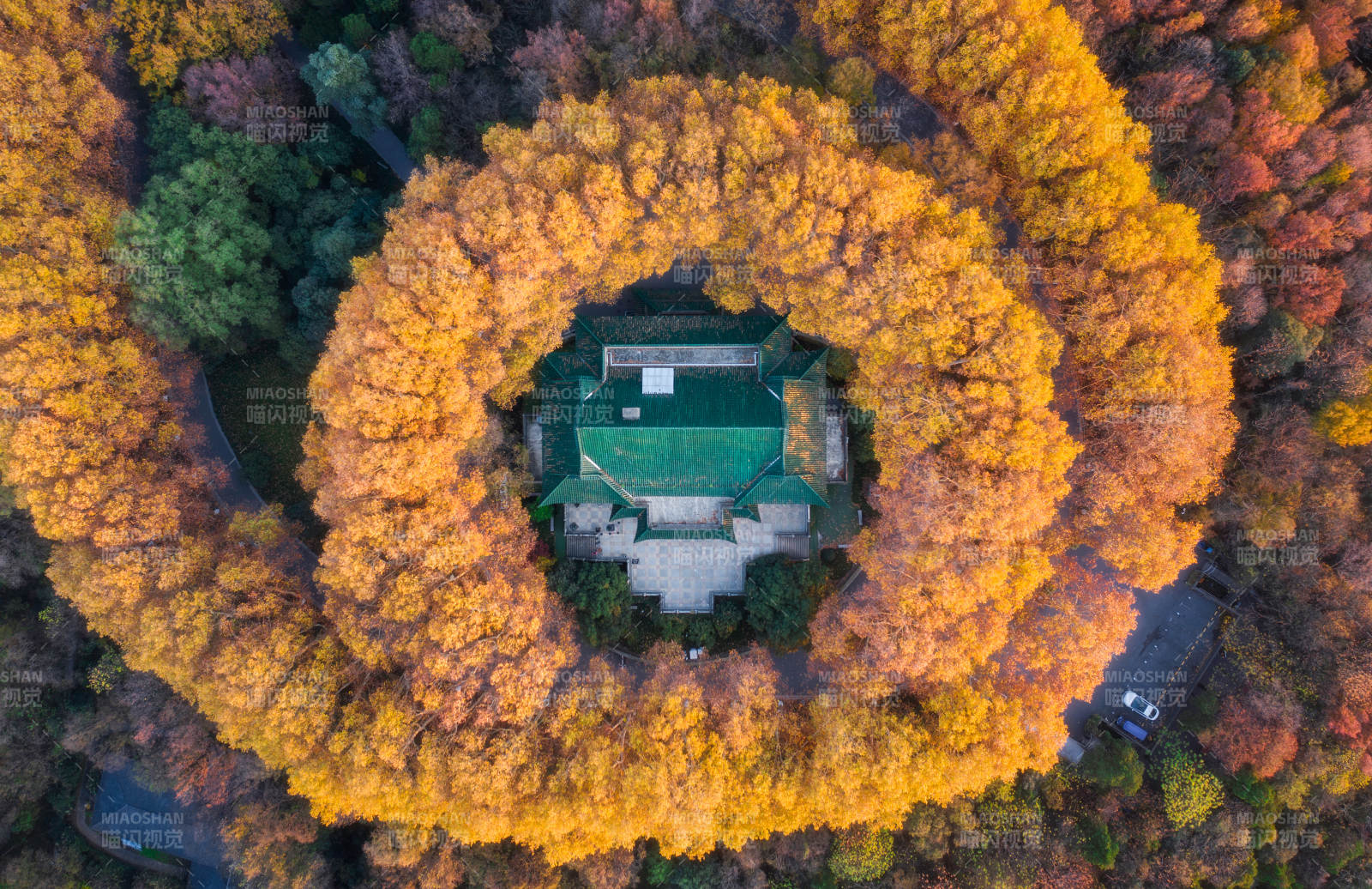 秋林环绕古建筑图片