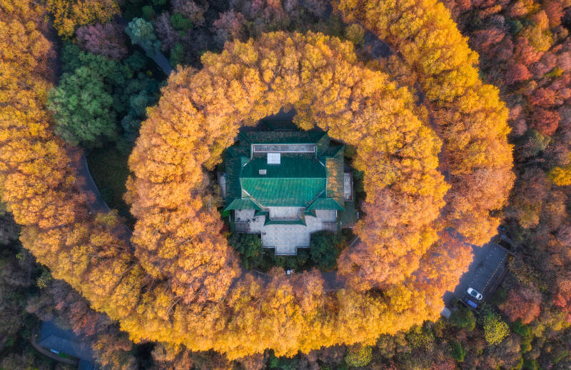 秋林环绕古建筑图片
