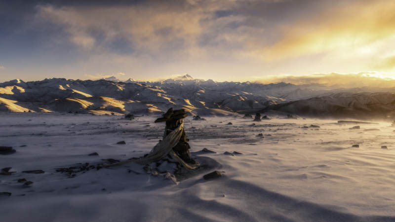 雪山日落 孤木静谧图片