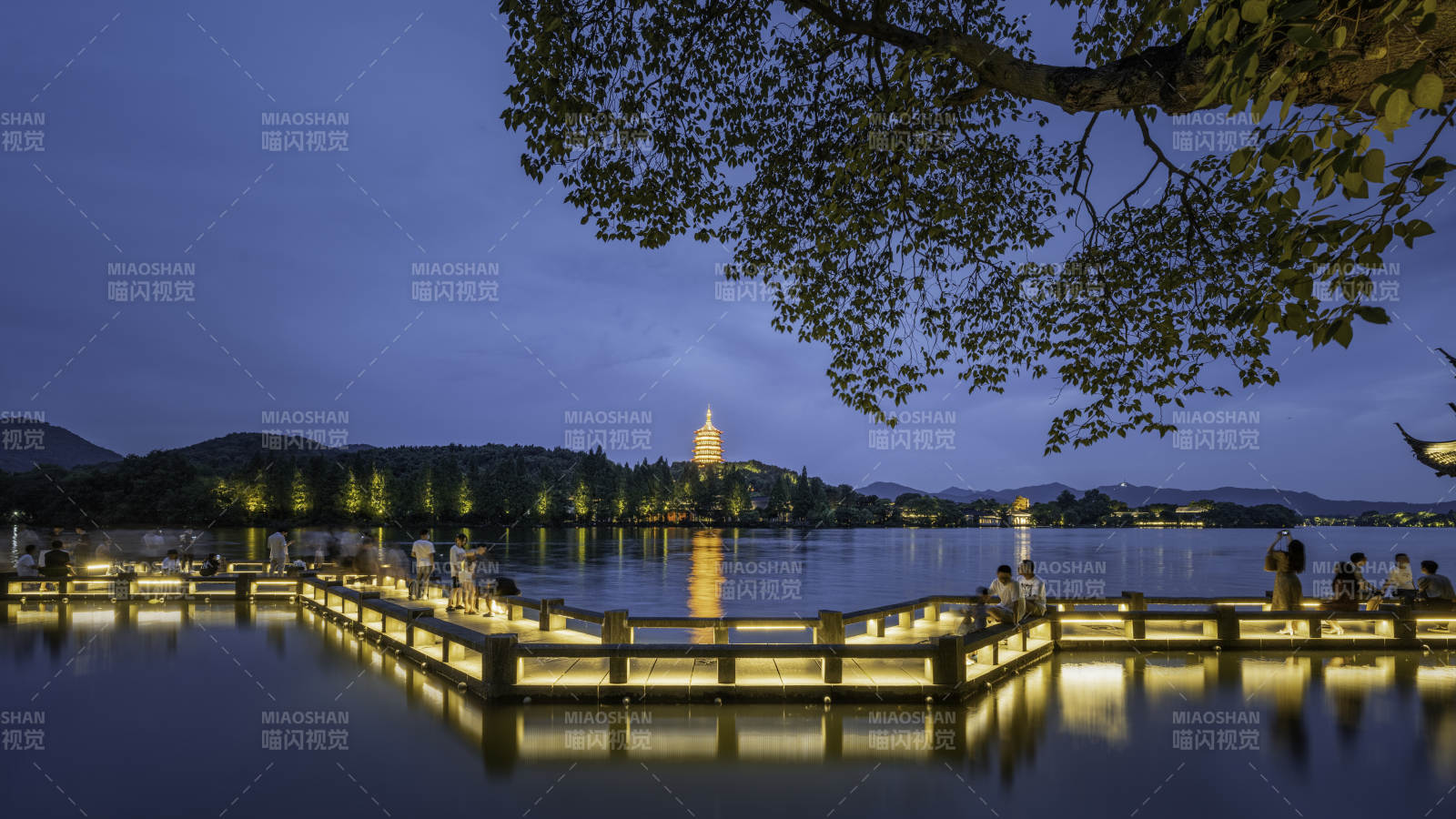 西湖夜景 塔影映水图片