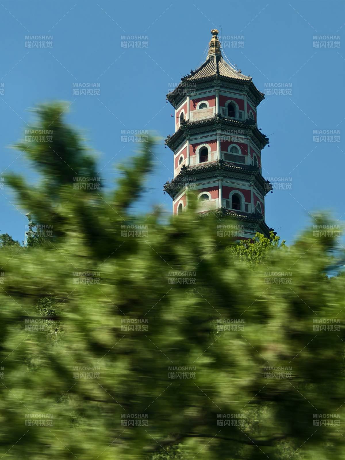 北坞公园古塔绿树映蓝天图片