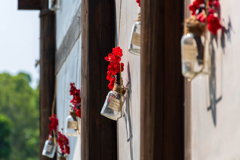 窗边花瓶与红花装饰图片