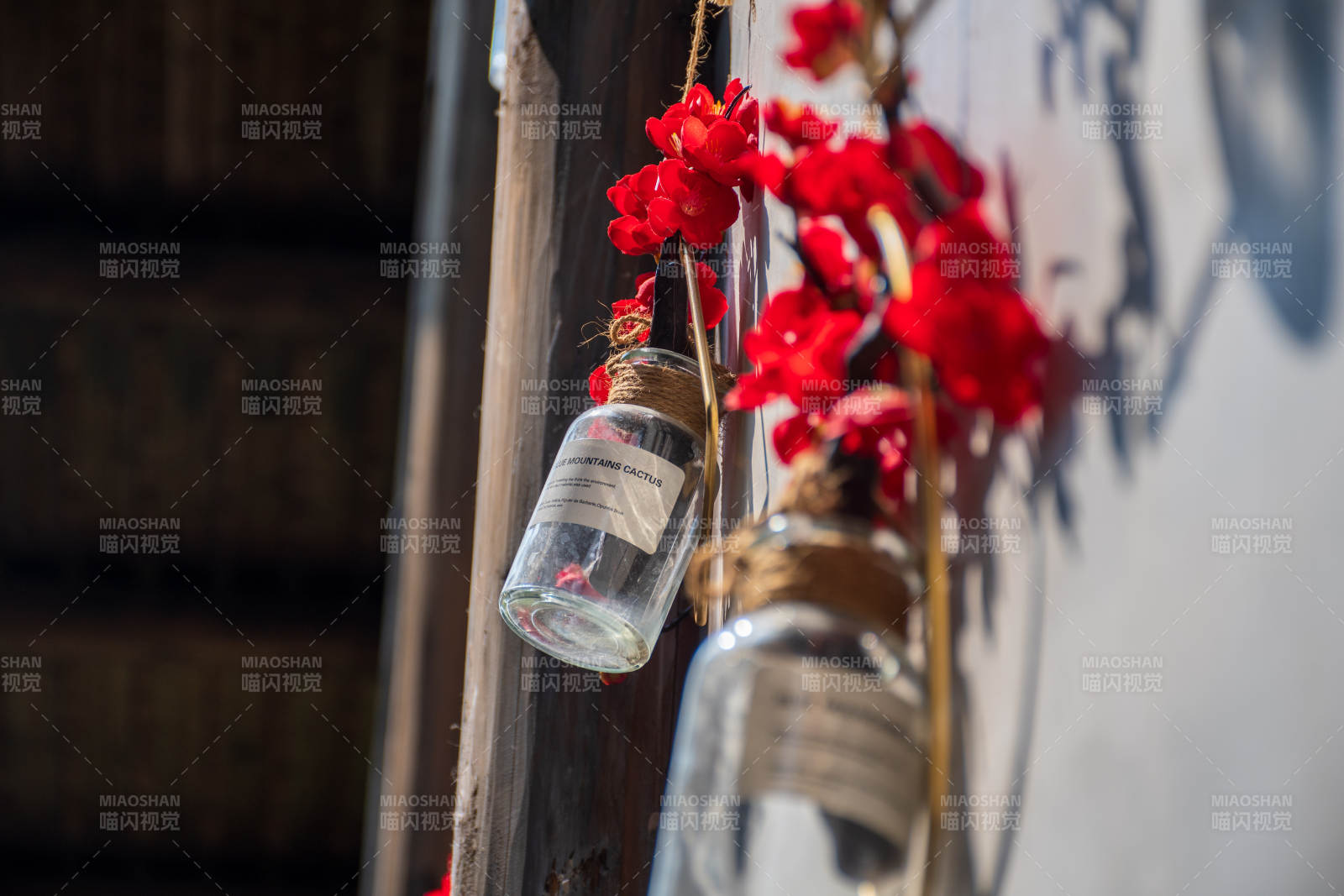 瓶中红花 墙边静美图片