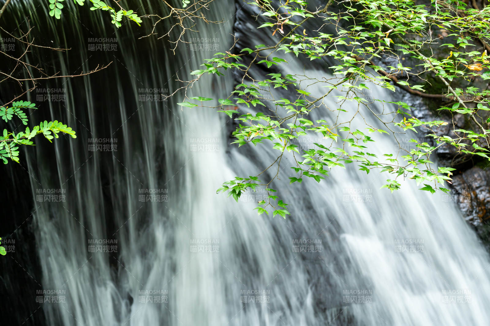 绿叶掩映的瀑布美景图片