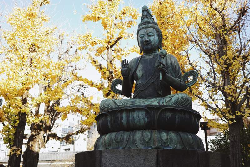 东京 秋日佛像与金叶相映图片