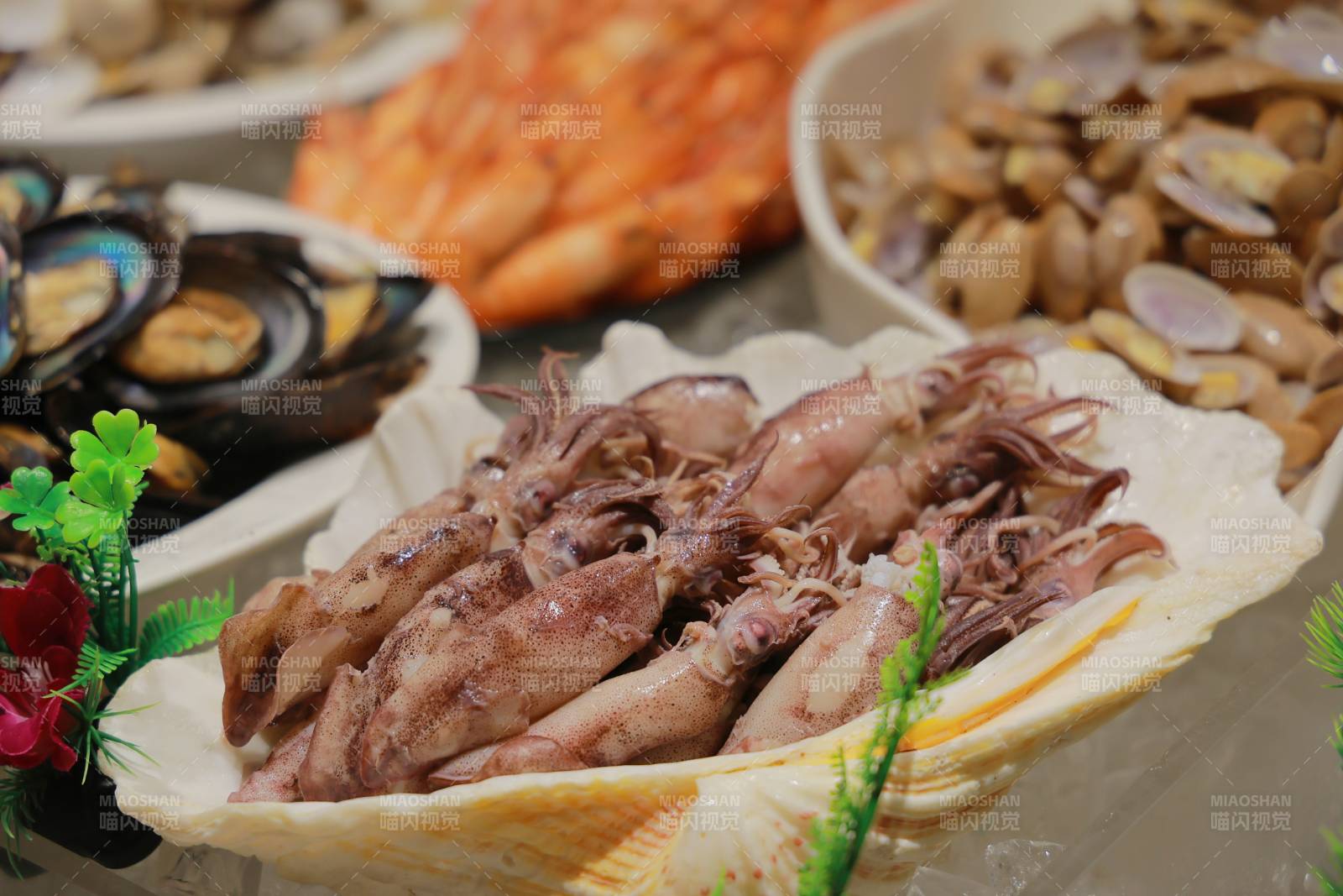 海鲜盛宴 鱿鱼 蛤蜊与扇贝图片