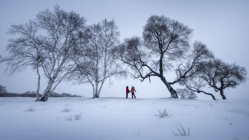 冬日雪景 两人漫步树下图片