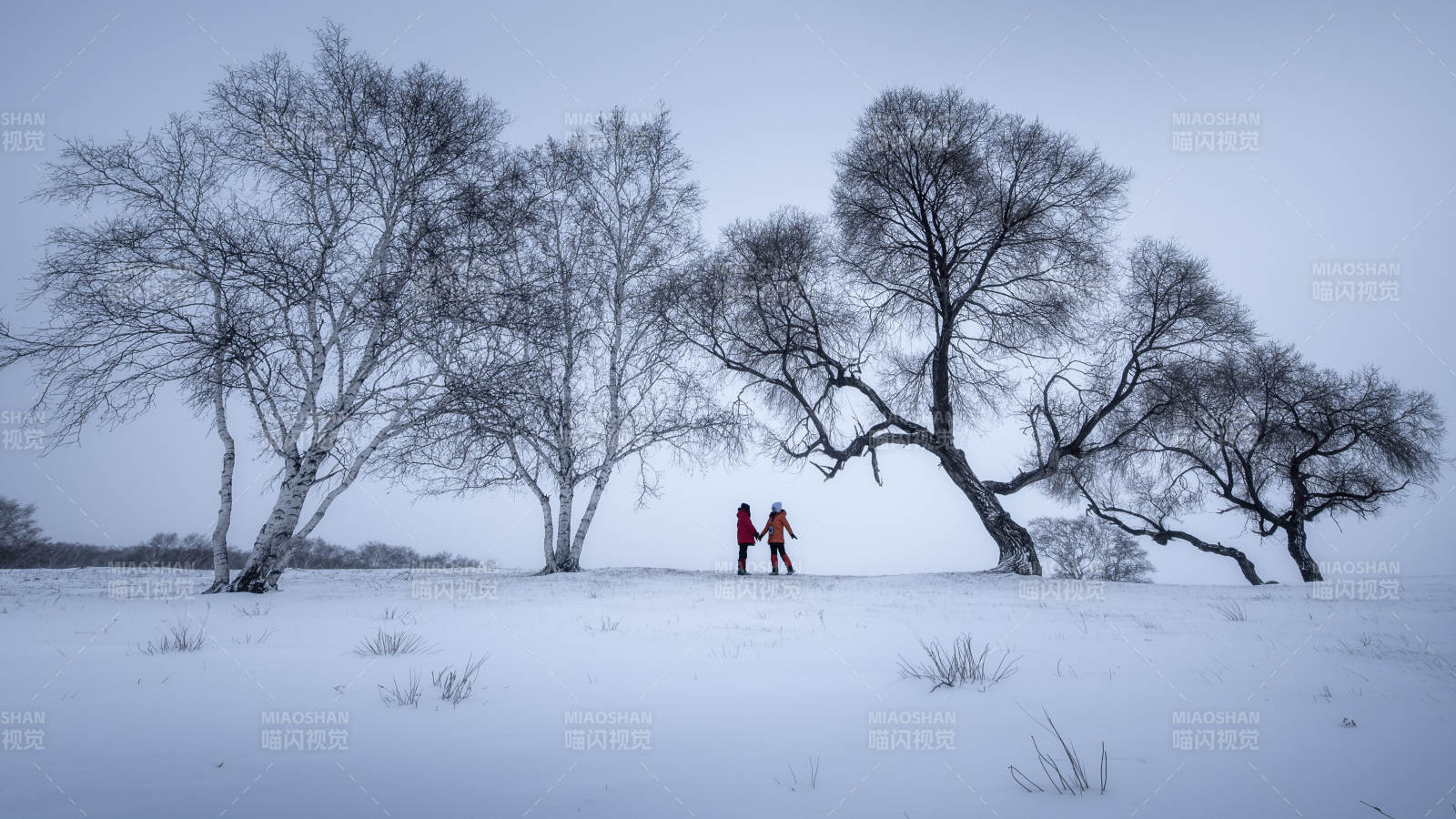 冬日雪景 两人漫步树下图片