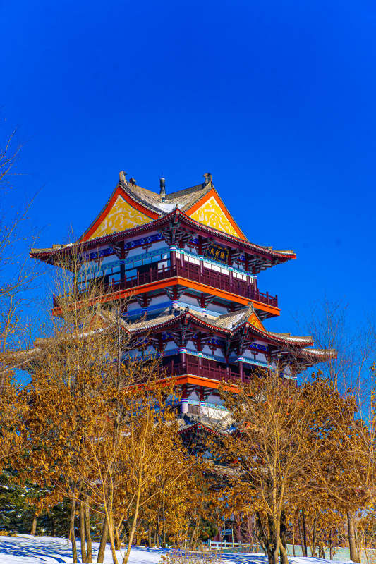 古塔冬景 蓝天映衬图片