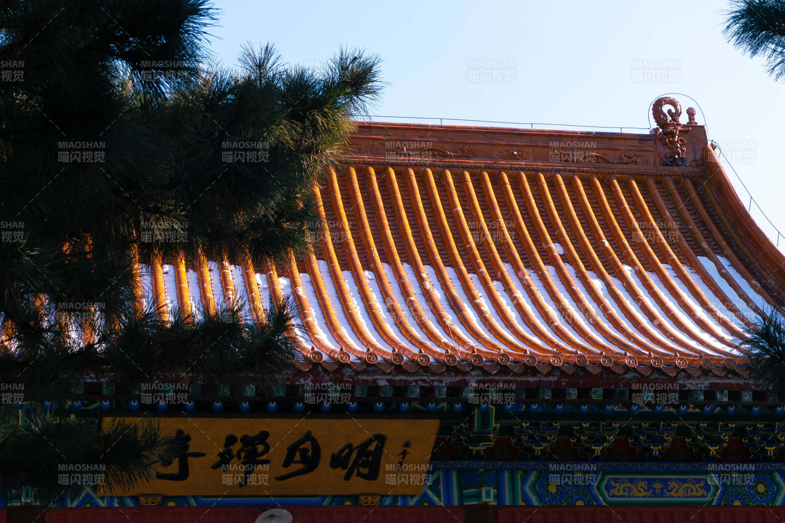 古寺飞檐映松影图片