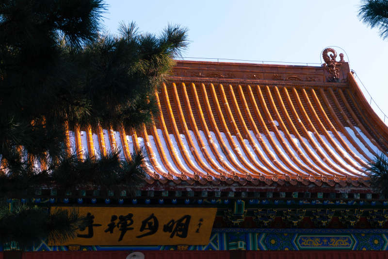 古寺飞檐映松影图片