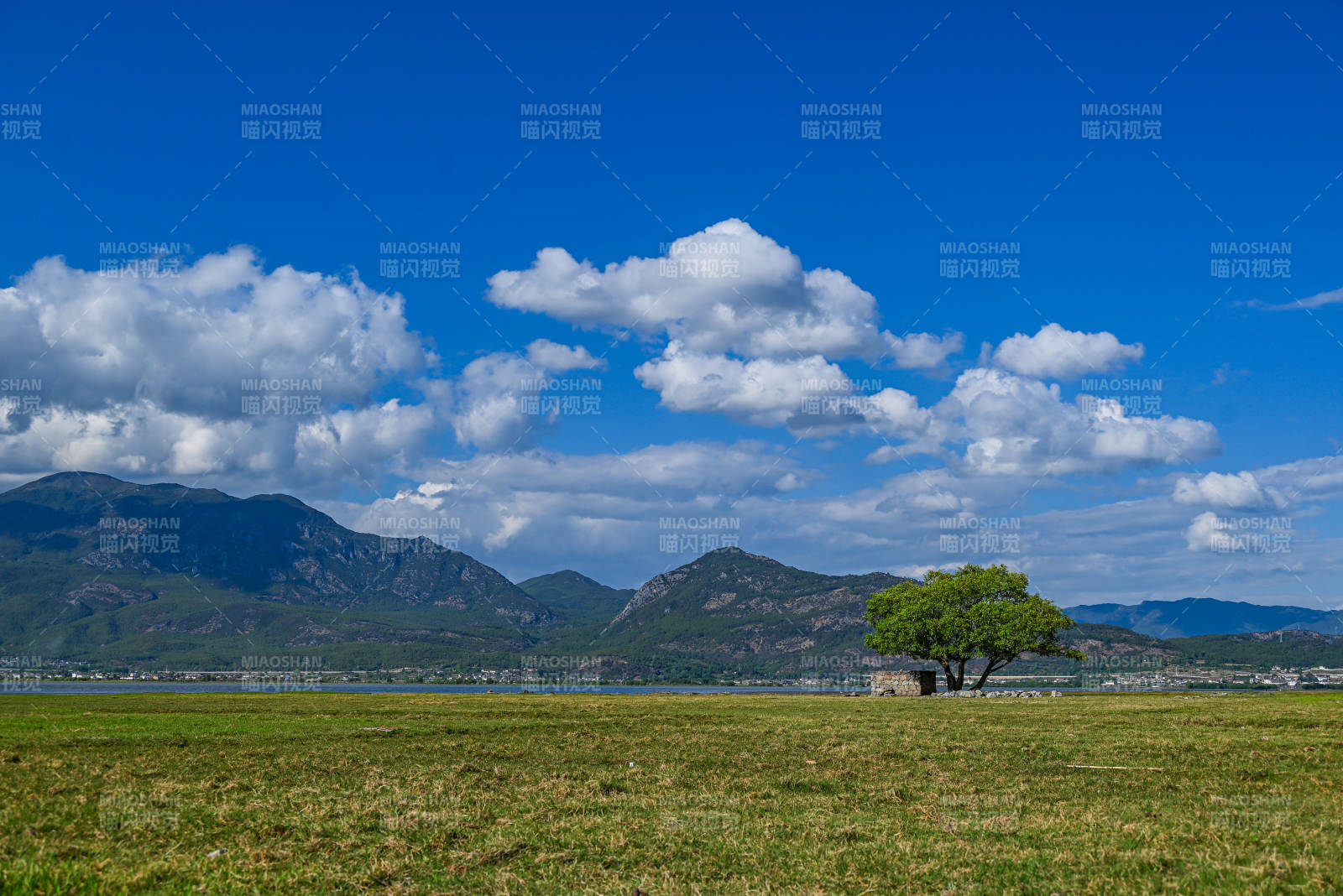 孤树绿野蓝天白云山景图片