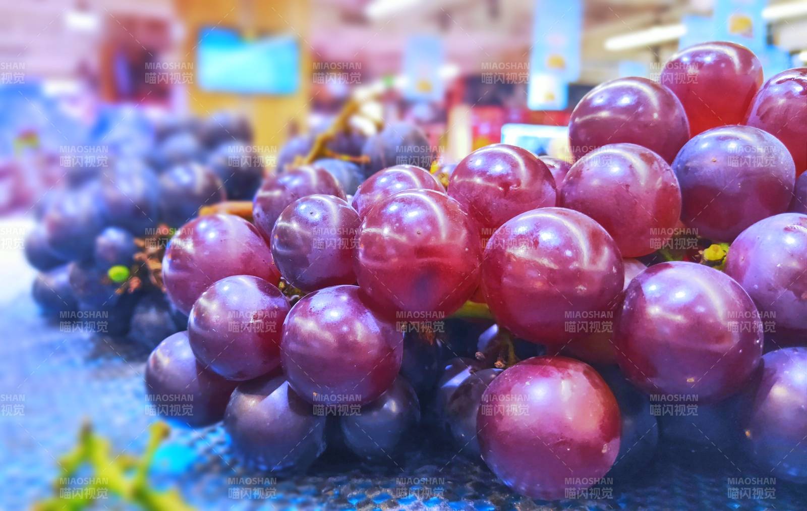 新鲜紫葡萄特写图片