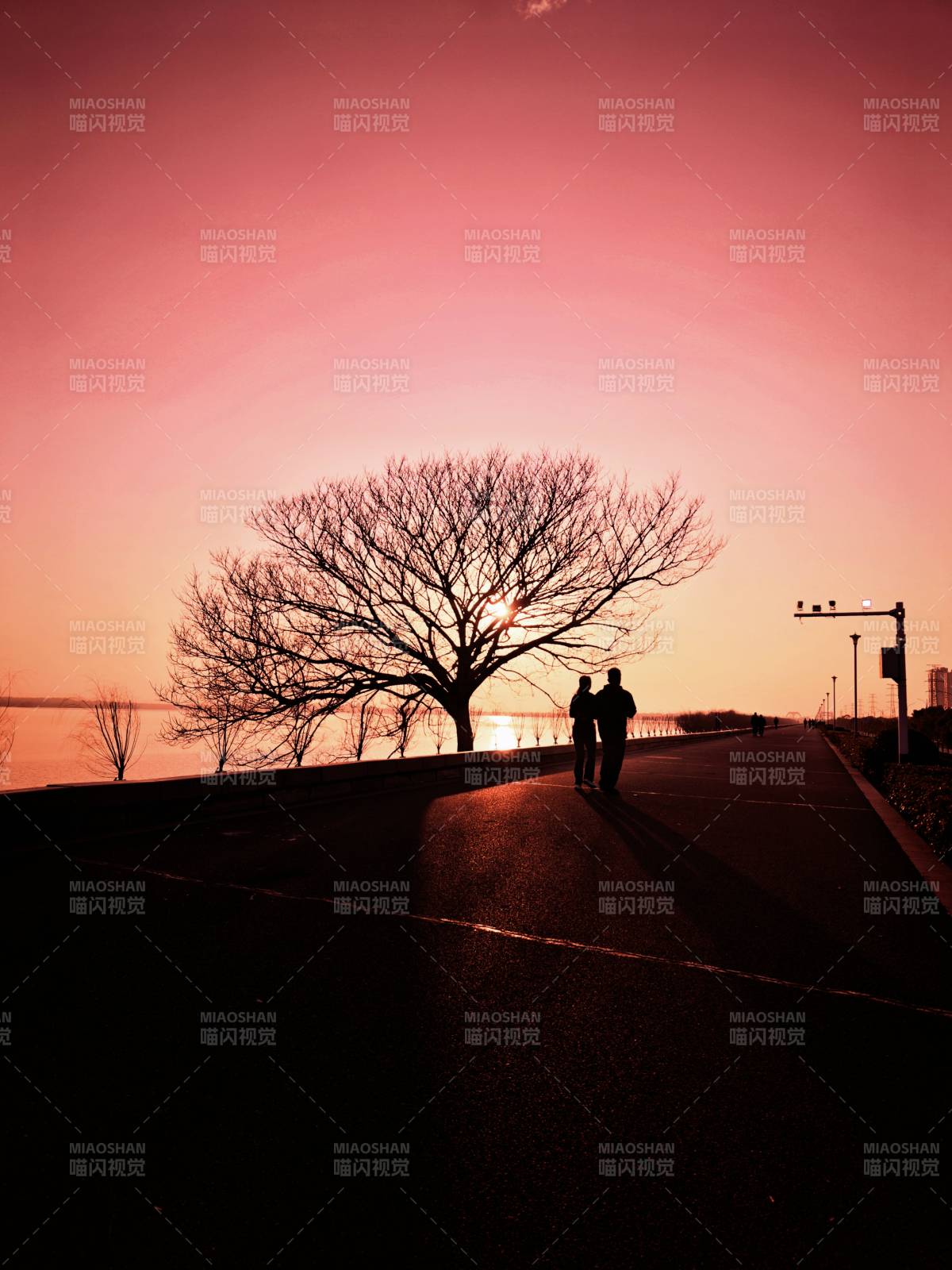 夕阳下的漫步时光图片